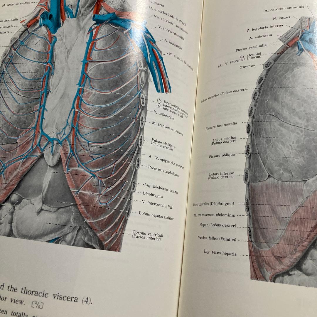 人体局所解剖図譜　セット4冊
