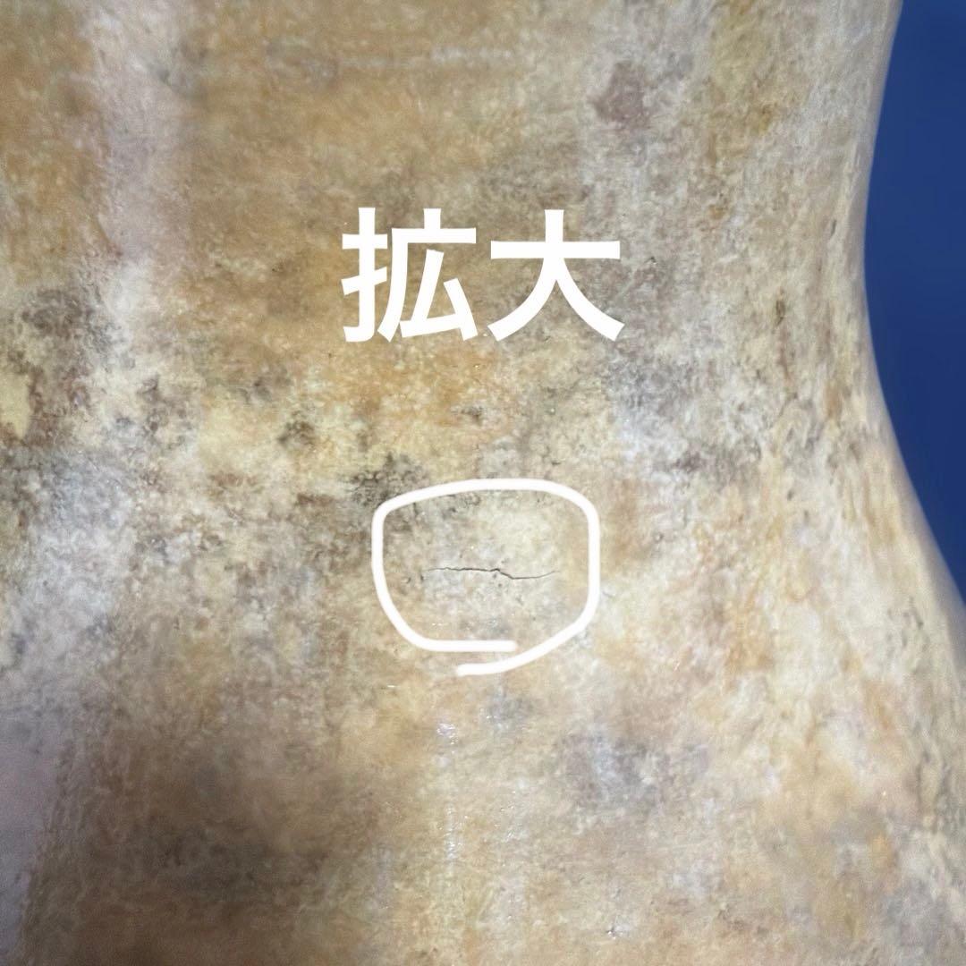 イプ　フラダンス　ひょうたん