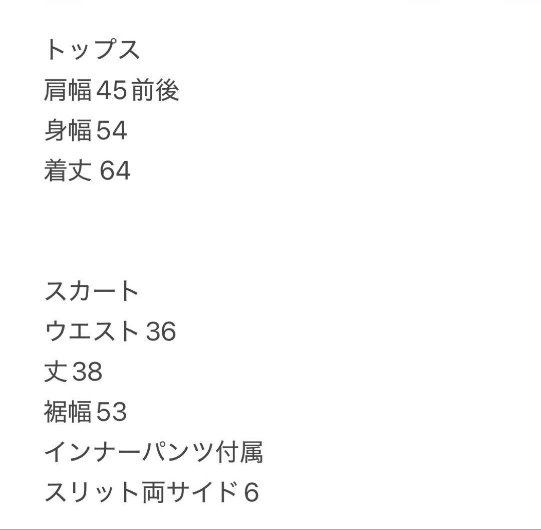 裏起毛パーカー　ウエストシェイプ　ストレッチスカート　セットアップ　春秋　L