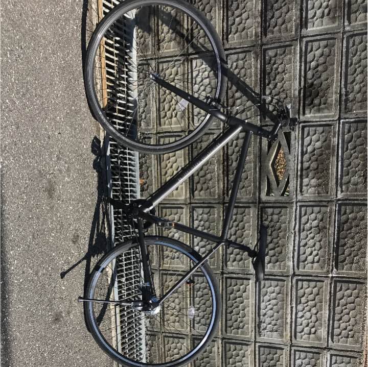 自転車本体 BRIDGESTONE GREEN LABEL