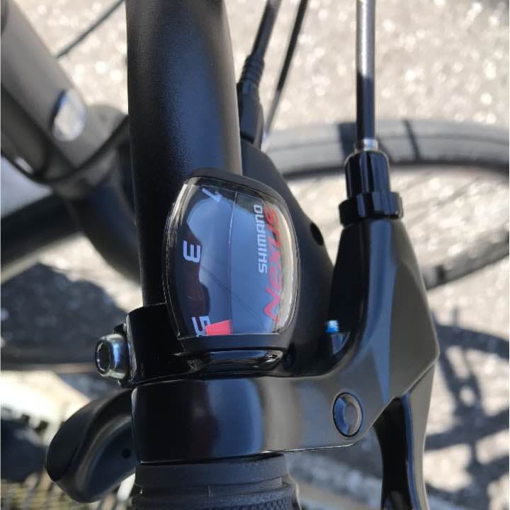 自転車本体 BRIDGESTONE GREEN LABEL