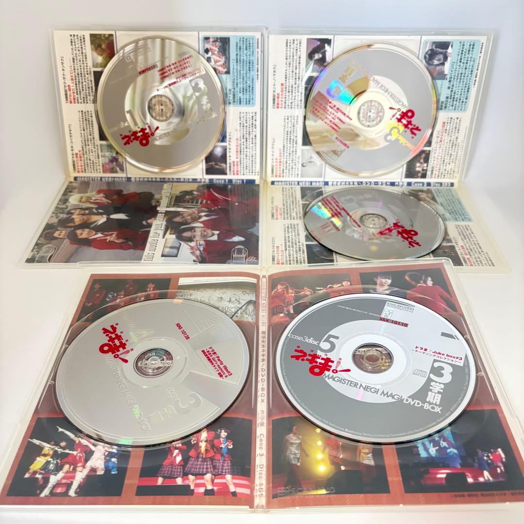 TVドラマ 魔法先生ネギま! DVD-BOX 全巻セット 1-3学期 完結 希少