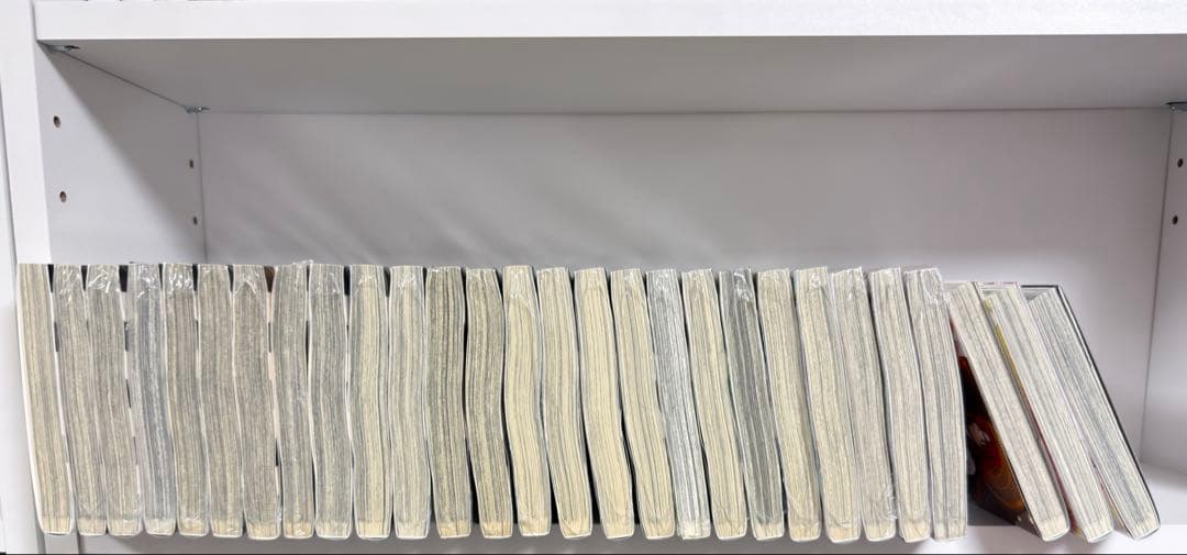 D.Gray-man 1巻～28巻セット