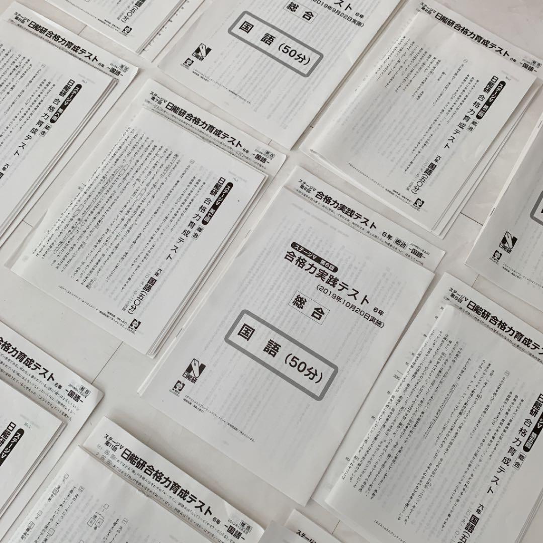 日能研　6年　後期　模試　2019年 合格力実践テスト　合格力育成テスト