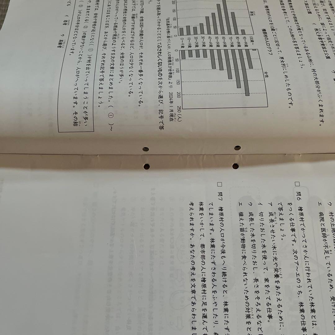 2025年 日能研 4年 ステージⅡ 育成テスト【前期】4科目❸〜➓