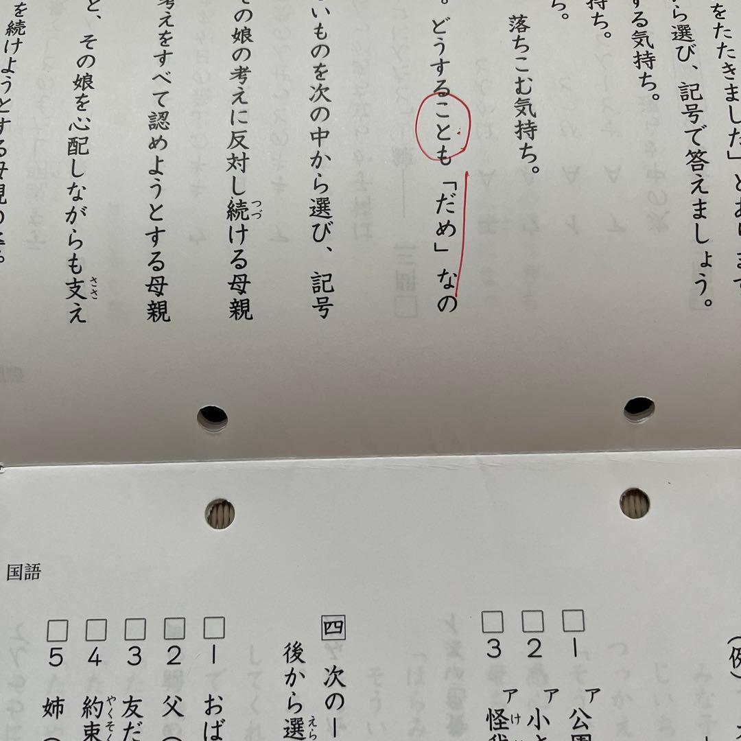 2025年 日能研 4年 ステージⅡ 育成テスト【前期】4科目❸〜➓