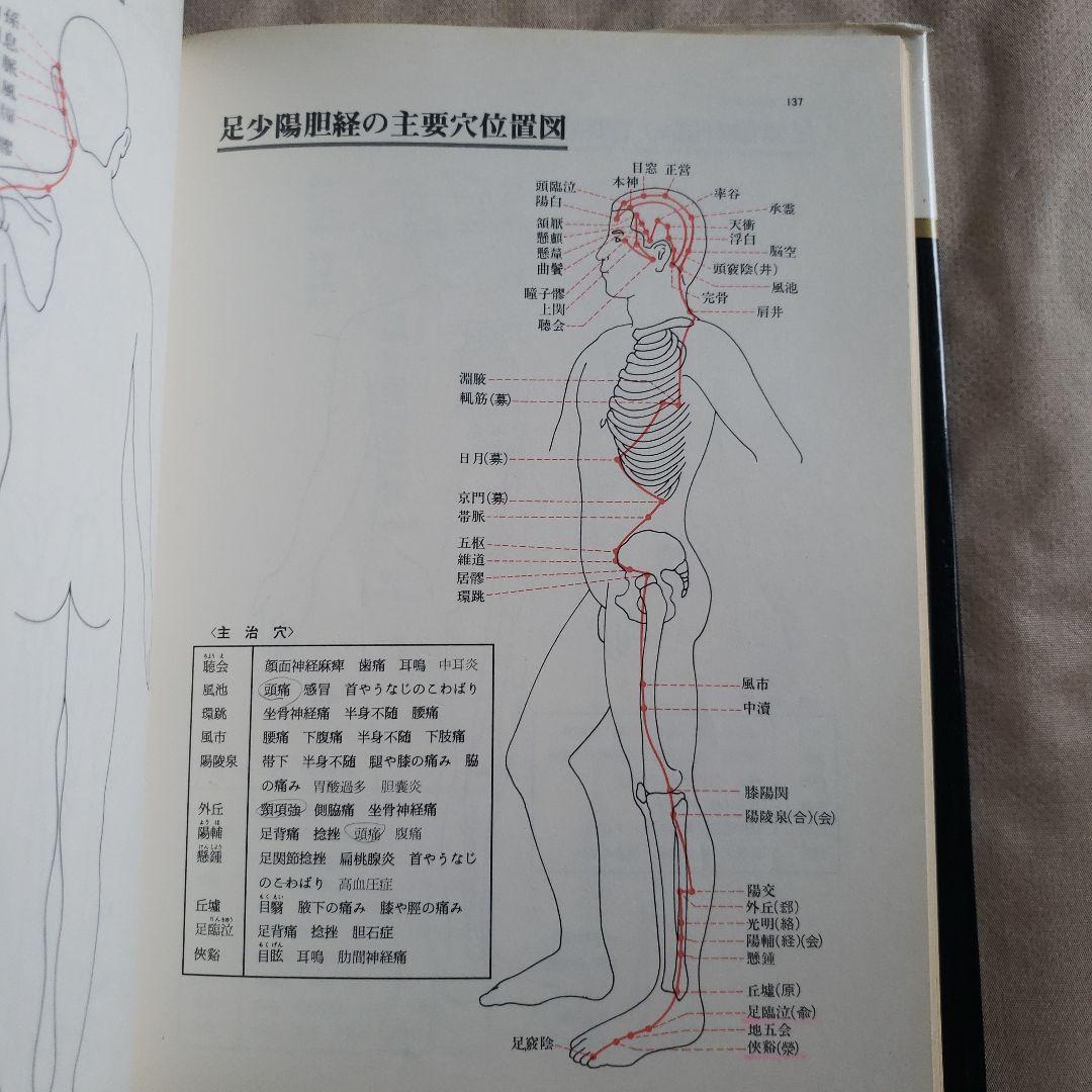 図説 東洋医学 基礎編