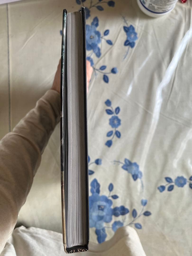 THE ART OF ALICE: MADNESS RETURNS 初版資料集