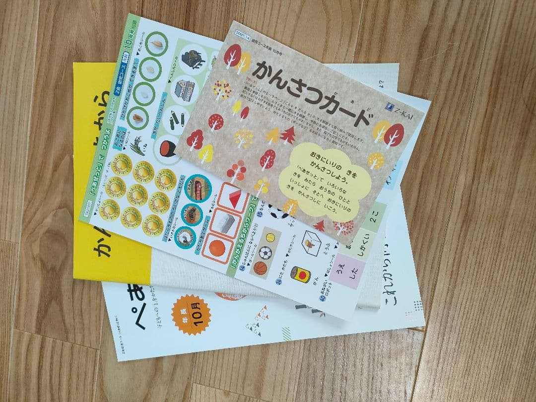 Ｚ会幼児コース　年長　ぺあぜっと　かんがえるちからワーク