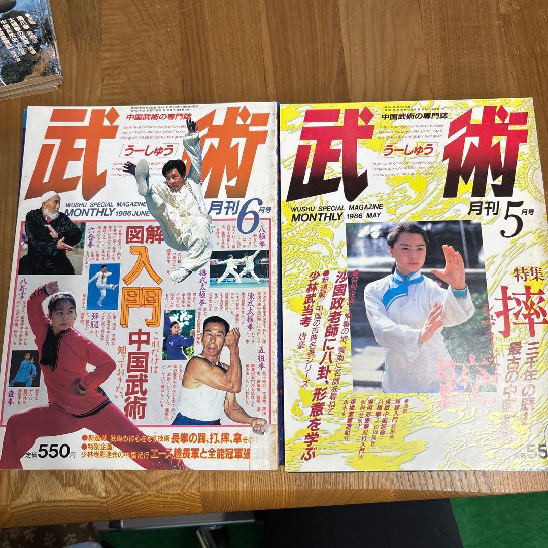 中国武術の専門誌 武術 うーしゅう 16冊 現状品