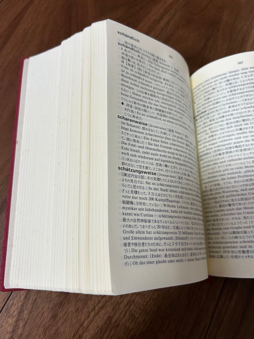 白水社 ドイツ語副詞辞典 岩崎英二郎編