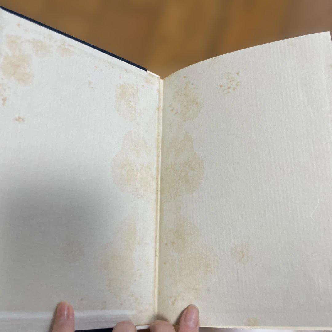 初めての山 本多勝一