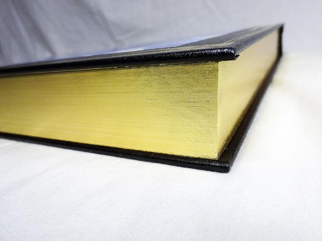 #天野喜孝 #COLLECTED PAINTINGS OF AMANO'S