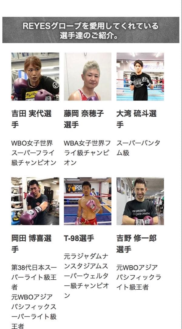 レイジェス(reyes) スパーリング用グローブ 14オンス