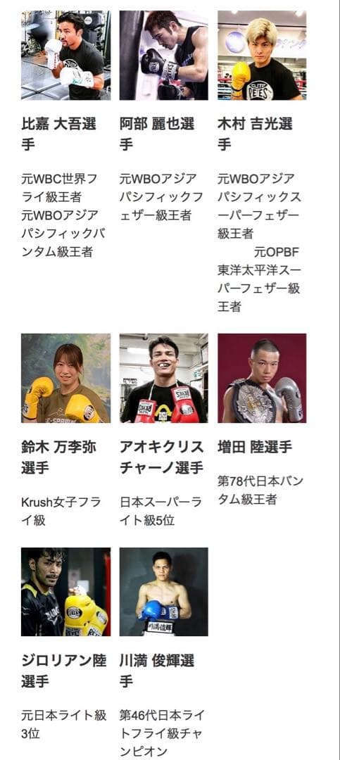 レイジェス(reyes) スパーリング用グローブ 14オンス