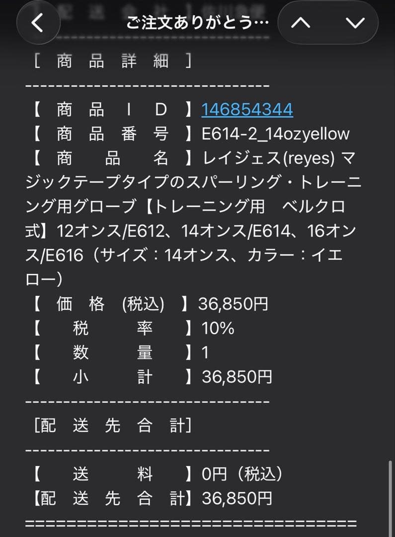 レイジェス(reyes) スパーリング用グローブ 14オンス