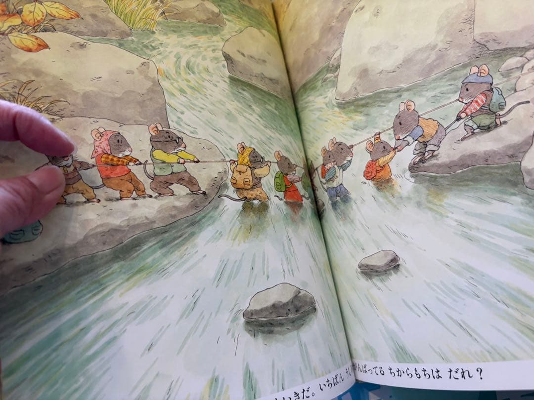 箱付き 絵本 14ひきのシリーズ 12冊 誕生日 プレゼント クリスマス