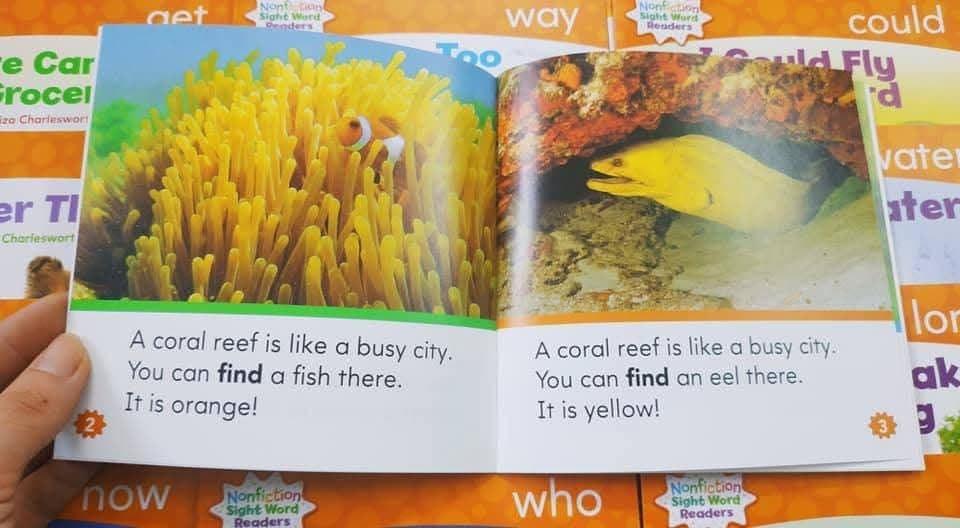 100冊セットCD付きNonfiction sightword reader