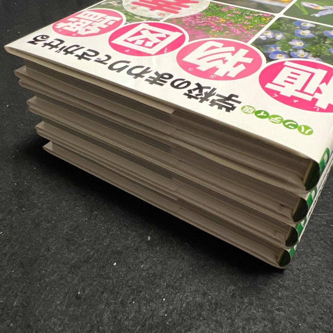 学校のまわりでさがせる植物図鑑 ハンディ版 春 夏 秋冬 樹木 全4冊セット