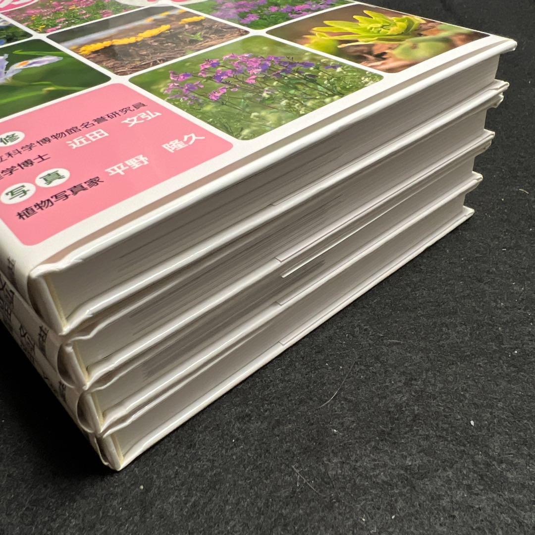 学校のまわりでさがせる植物図鑑 ハンディ版 春 夏 秋冬 樹木 全4冊セット