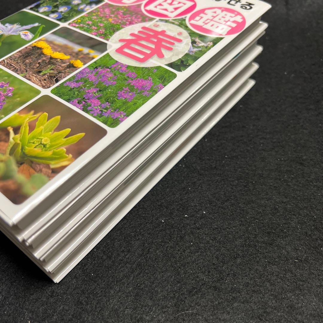 学校のまわりでさがせる植物図鑑 ハンディ版 春 夏 秋冬 樹木 全4冊セット