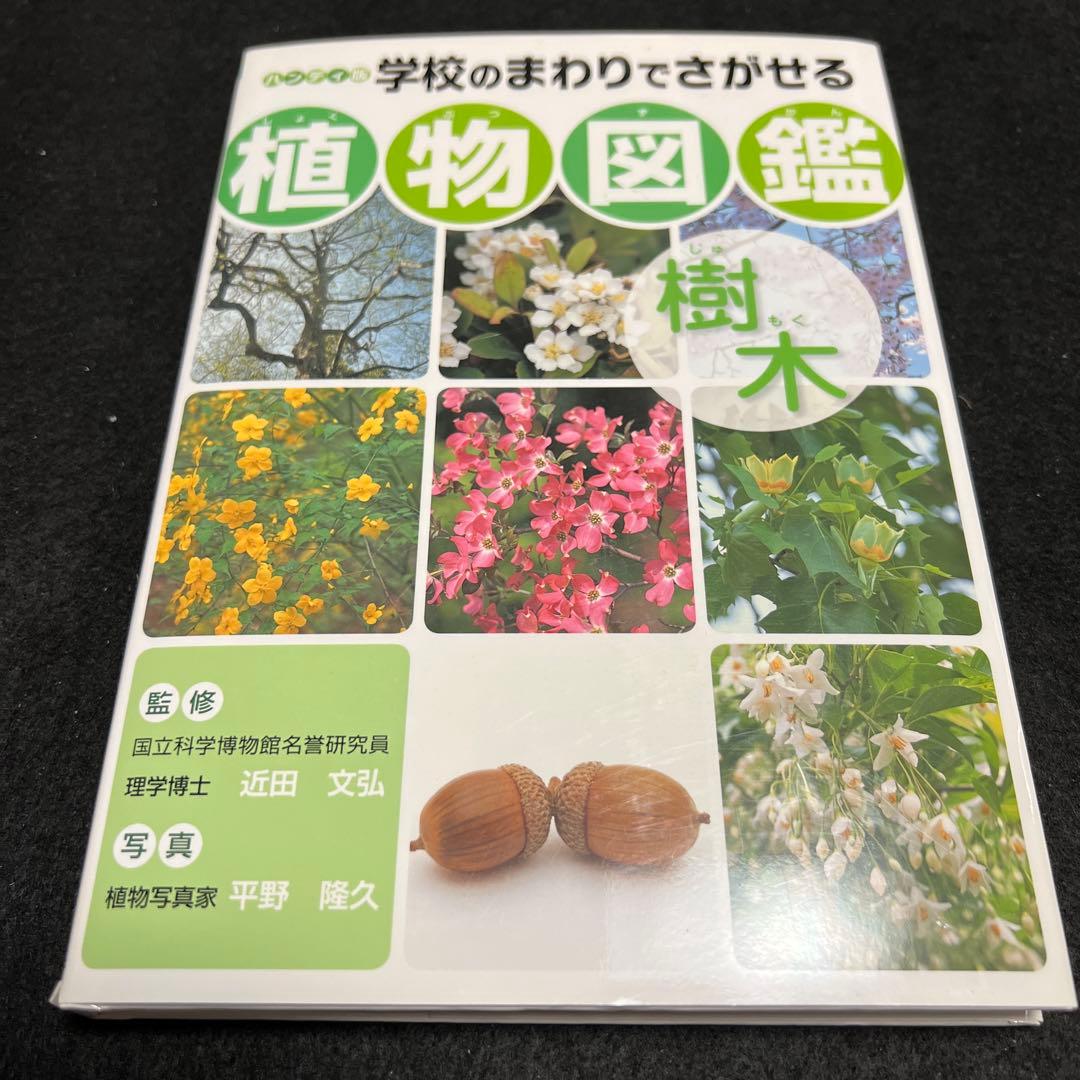 学校のまわりでさがせる植物図鑑 ハンディ版 春 夏 秋冬 樹木 全4冊セット