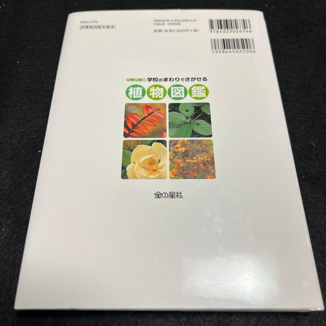 学校のまわりでさがせる植物図鑑 ハンディ版 春 夏 秋冬 樹木 全4冊セット