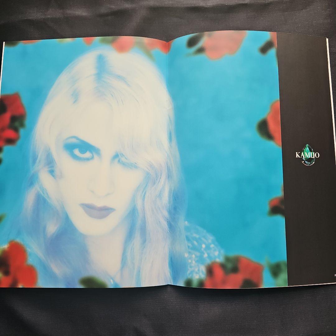 【貴重】LAREINE　&　NEW SODMY パンフセット　KAMIJO