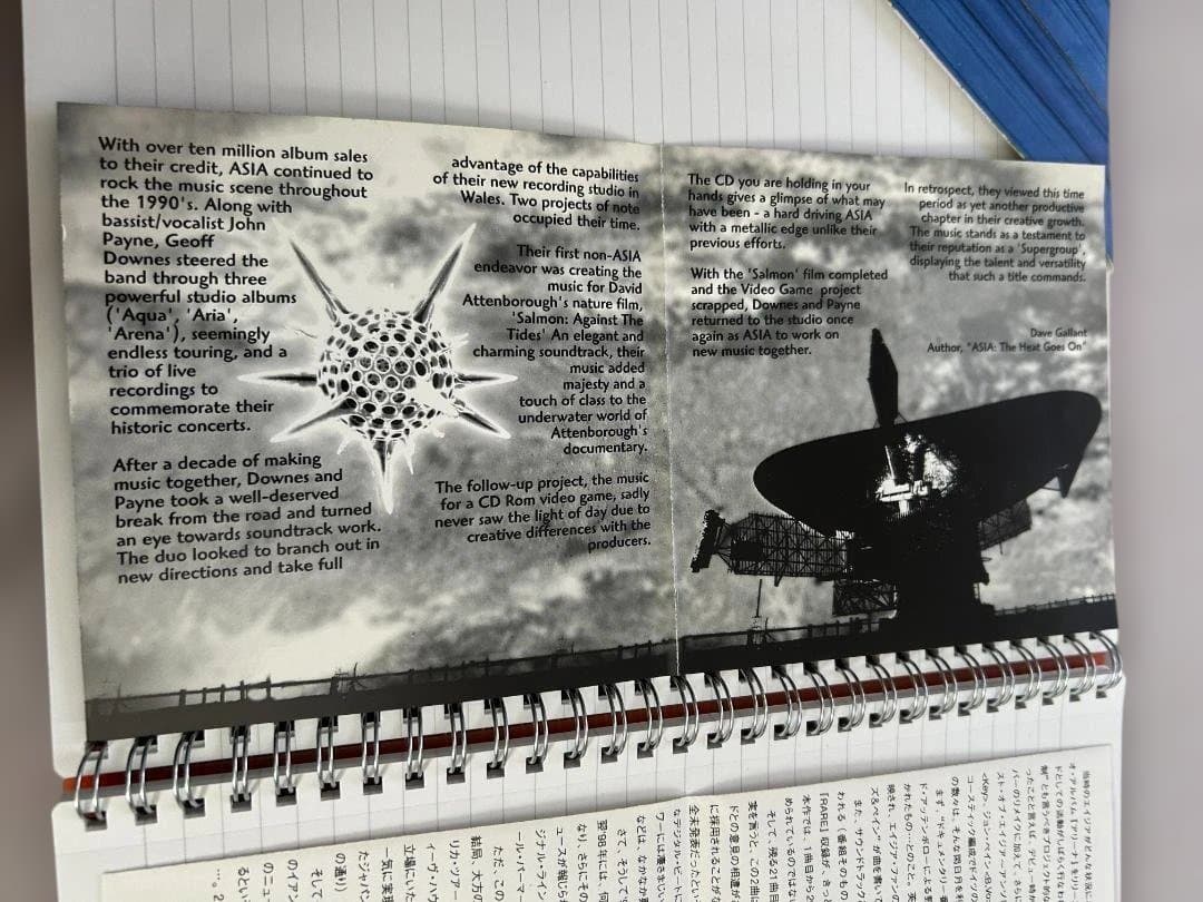 【超希少盤！】Asia（エイジア）/Rare（レア）/CD