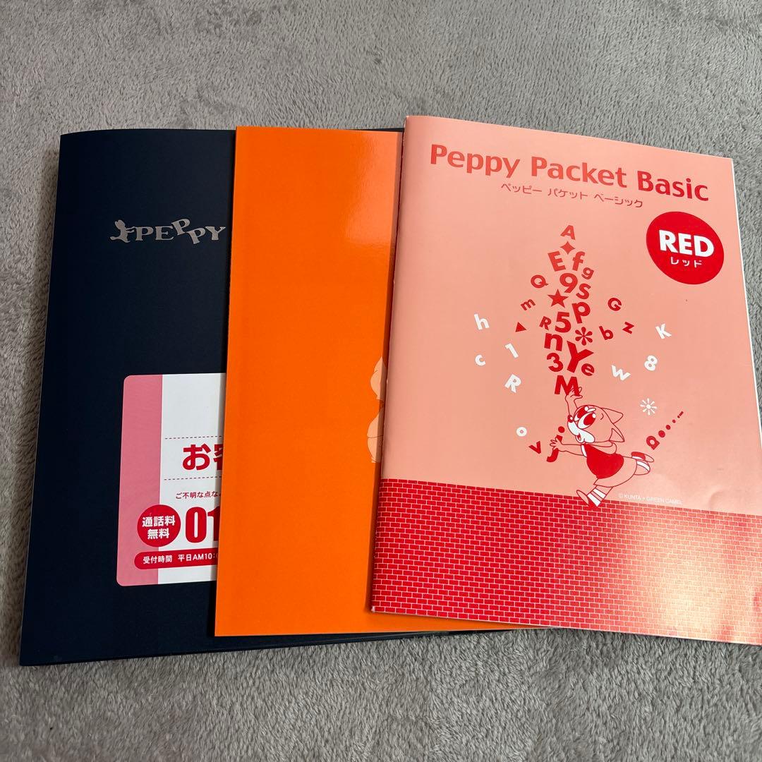 美品 英語 ペッピーキッズクラブ モラモラ 教材