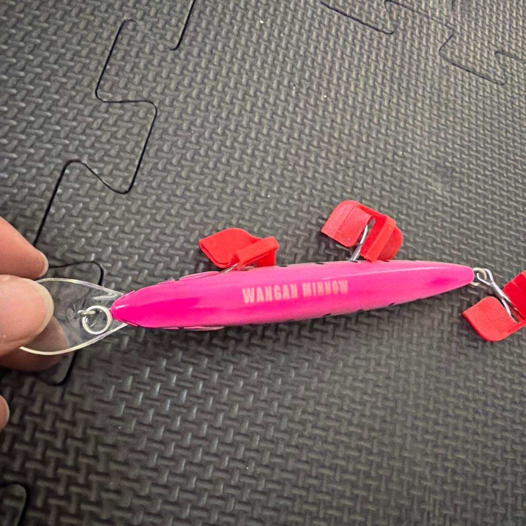 【値下げ】青物用　プラグルアー引退セット 10個　ケース付き