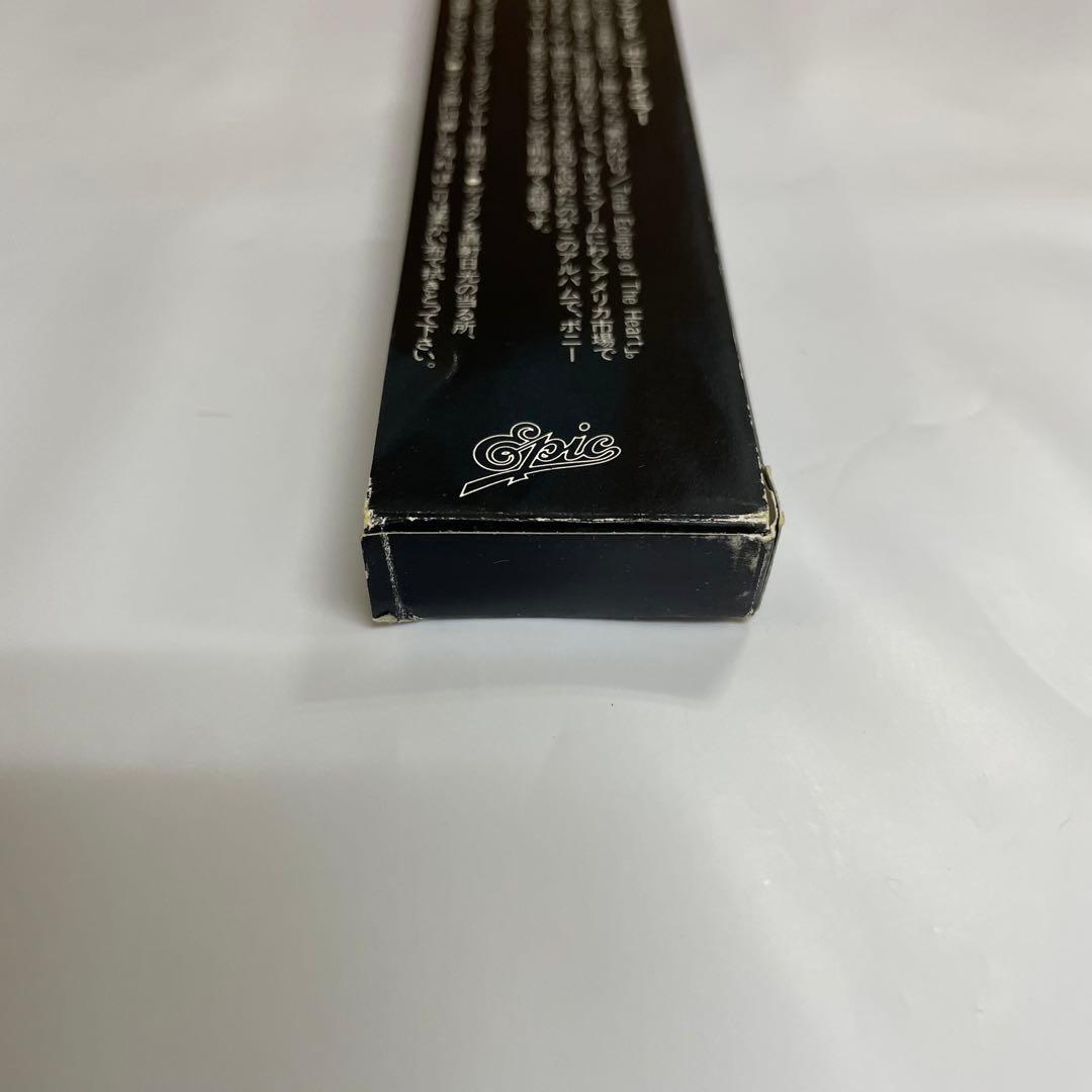 箱帯　美盤　ボニー・タイラー　CD