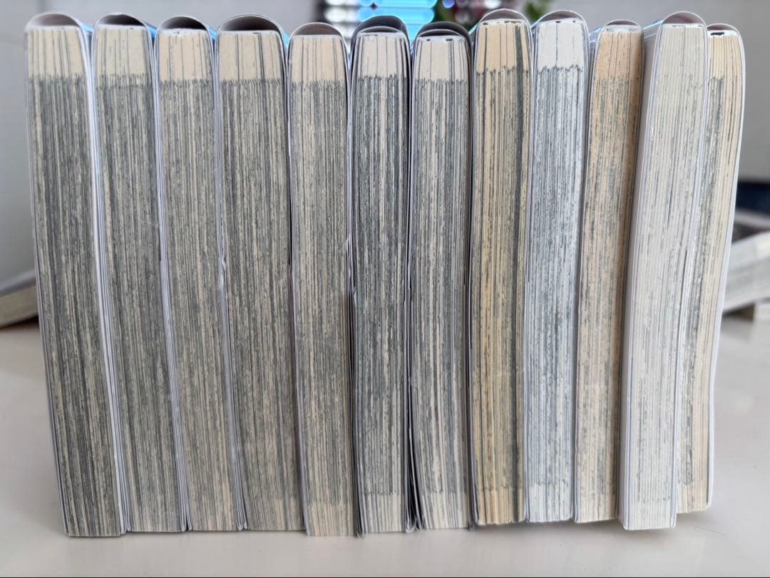 文豪ストレイドッグス　1〜21,23,24 文豪ストレイドッグスわん　2〜4