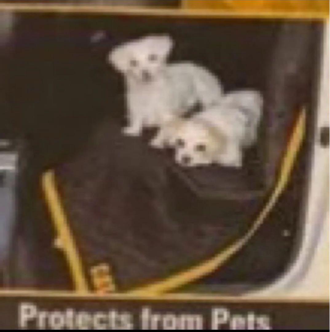 CAT ユーティリティブ　ブランケット　２枚セット　トラック　引越し　丈夫　新品