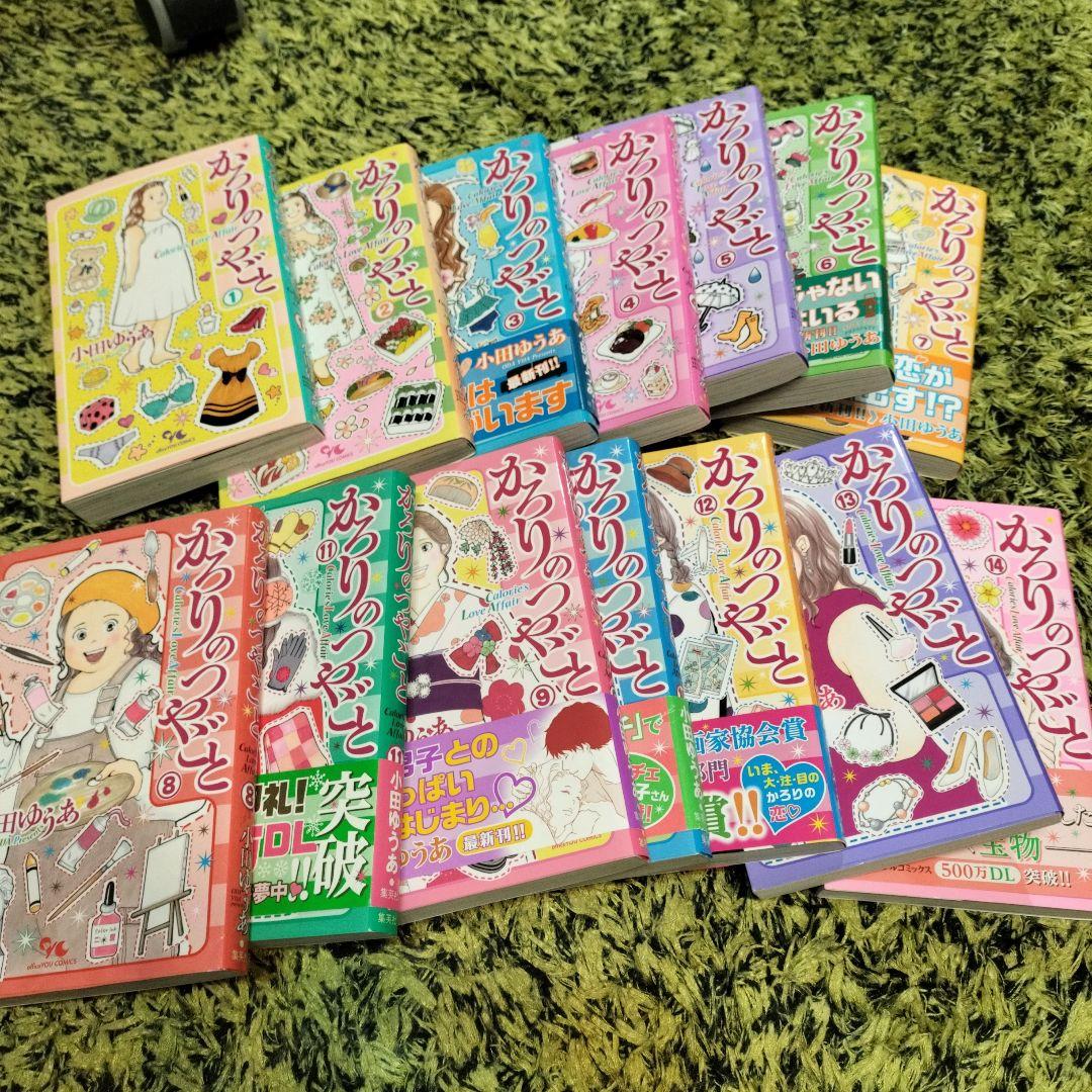 訳あり　かろりのつやごと 1〜14巻　全巻セット