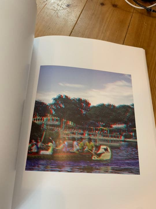 カリフォルニア　ディズニーランド　3D 本　アナハイム