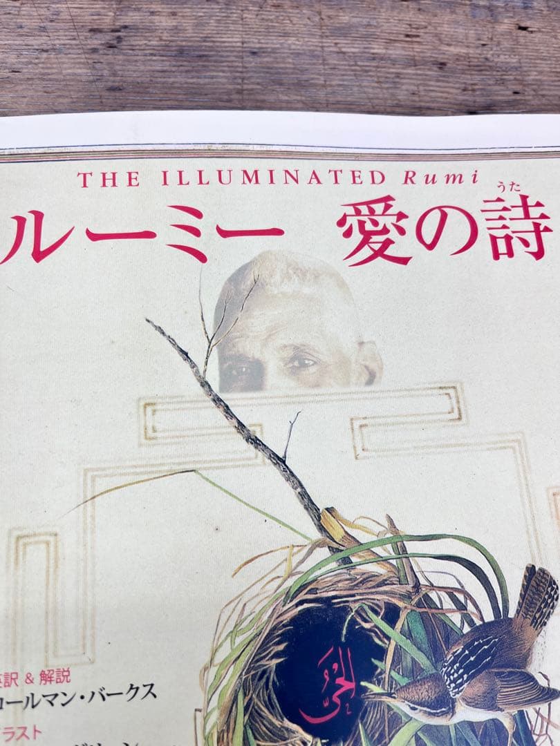 くま様の希少ルーミー 愛の詩 THE ILLUMINATEDスピリチュアル幻の書