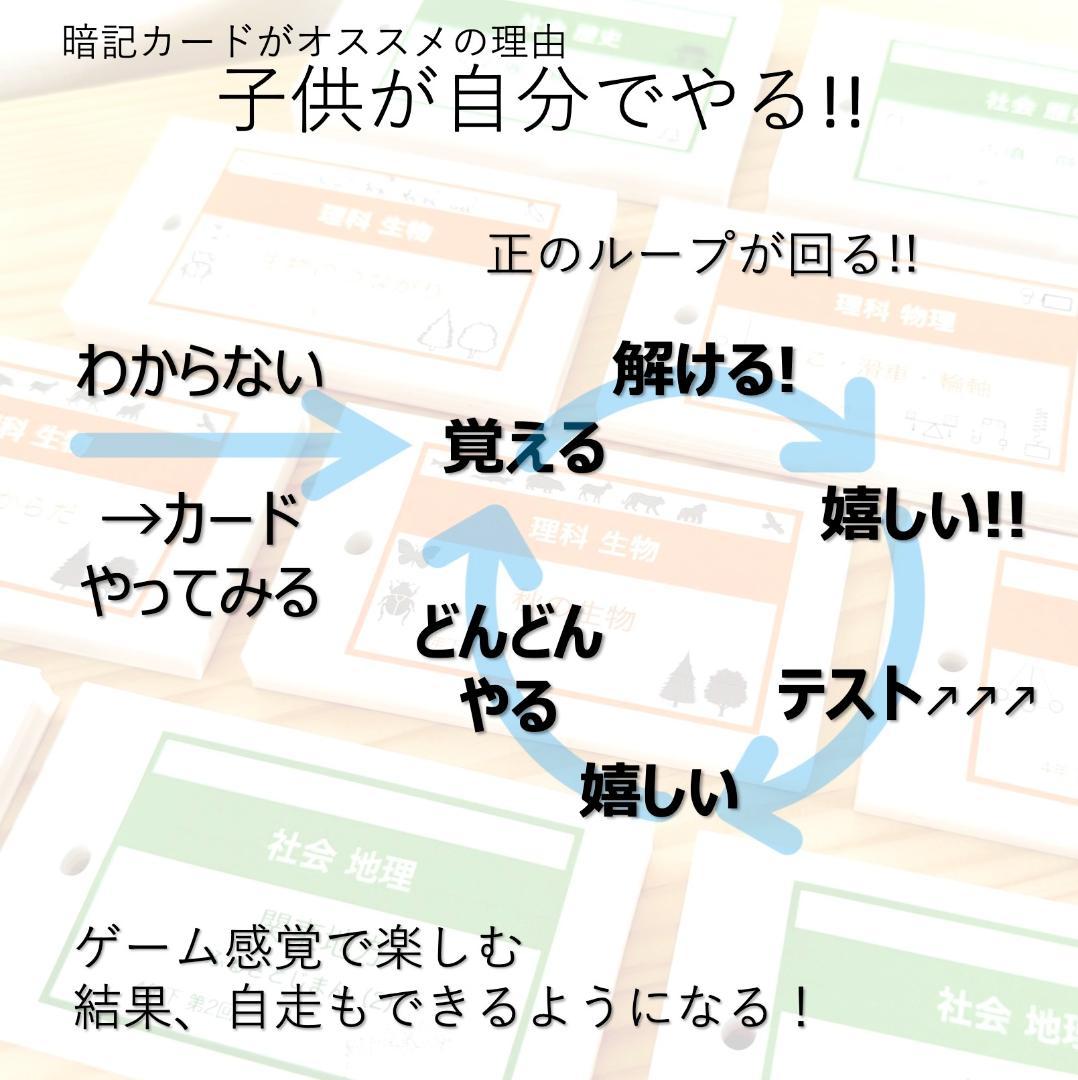 中学受験 暗記カード 【5年下 社会・理科6-18回】予習シリーズ 組み分け