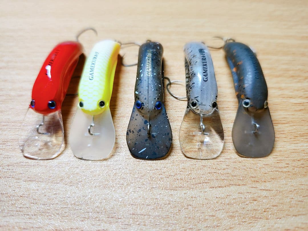 ディスプラウト　ガメクラF　5本セット　希少カラー