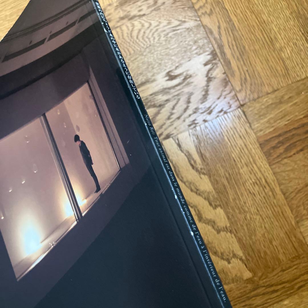 内藤礼　図録2冊セット 「すべて動物は、世界の内に…」 「たくさんのものが…」