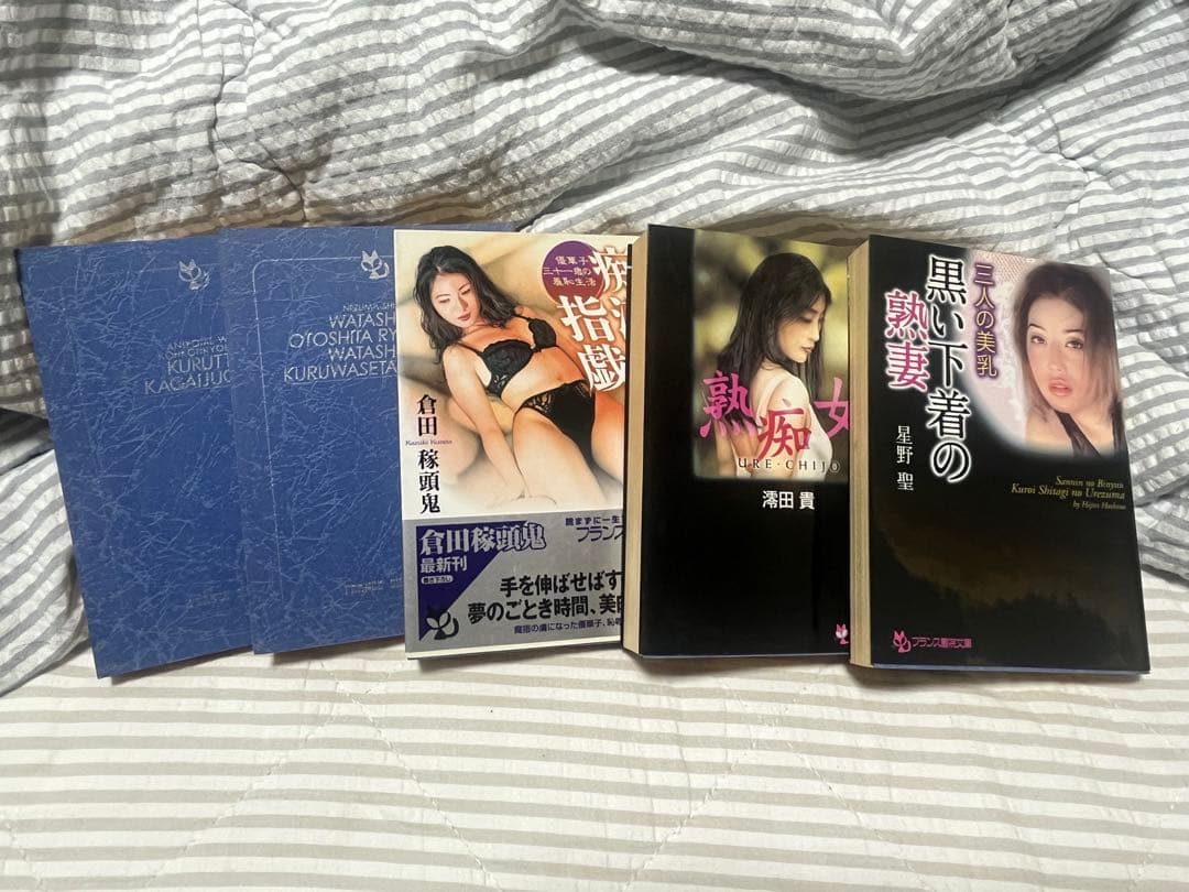 フランス書院文庫20冊（カバー欠品2冊）マドンナメイト4冊他1冊…計25冊セット