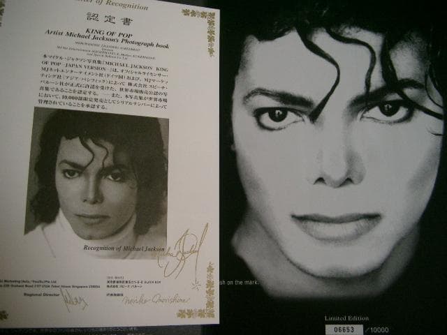 MICHAEL JACKSON KING OF POP●ケース入り