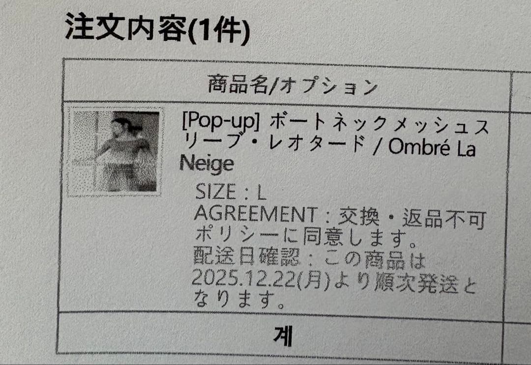 byplieバイプリエオンブレレオタードOmbré La Neige Lサイズ