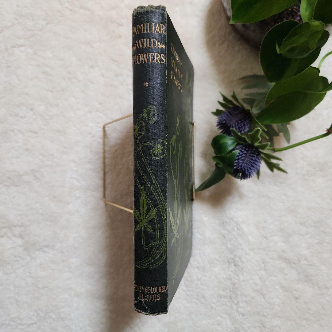 植物図鑑　洋書　古書　アンティーク　Familar Wild Flowers①