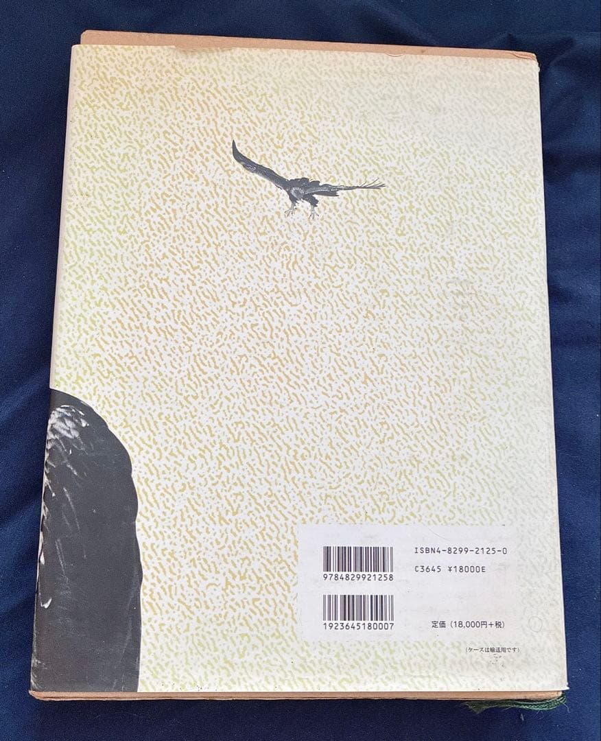 図鑑　日本のワシタカ類