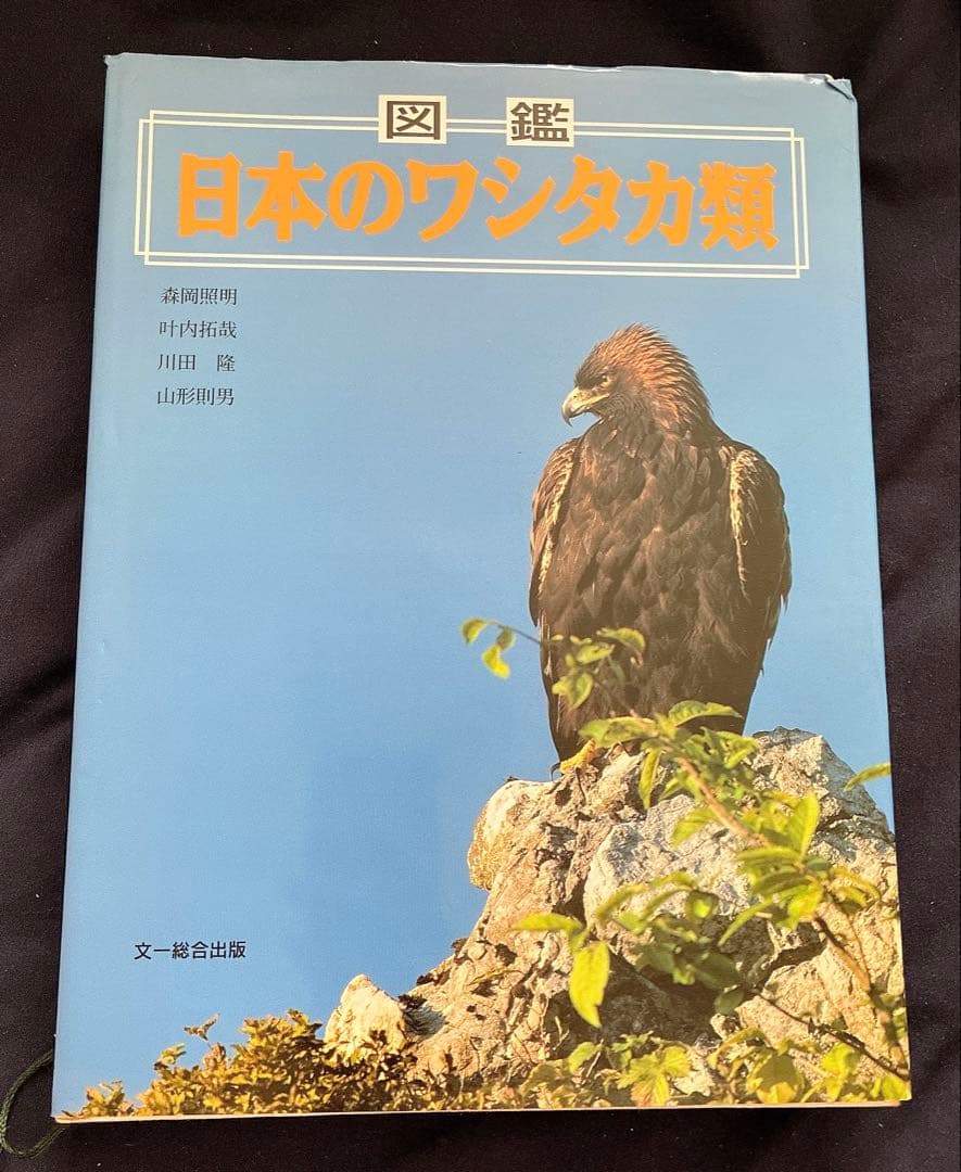 図鑑　日本のワシタカ類