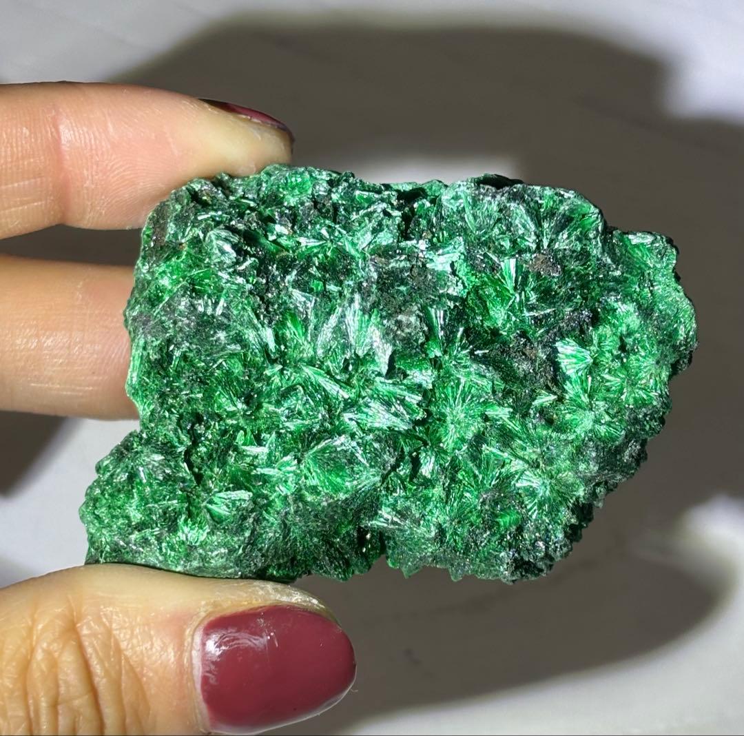 《放射状フラワー結晶が広がる》 マラカイト原石 天然・未研磨 鉱物標本