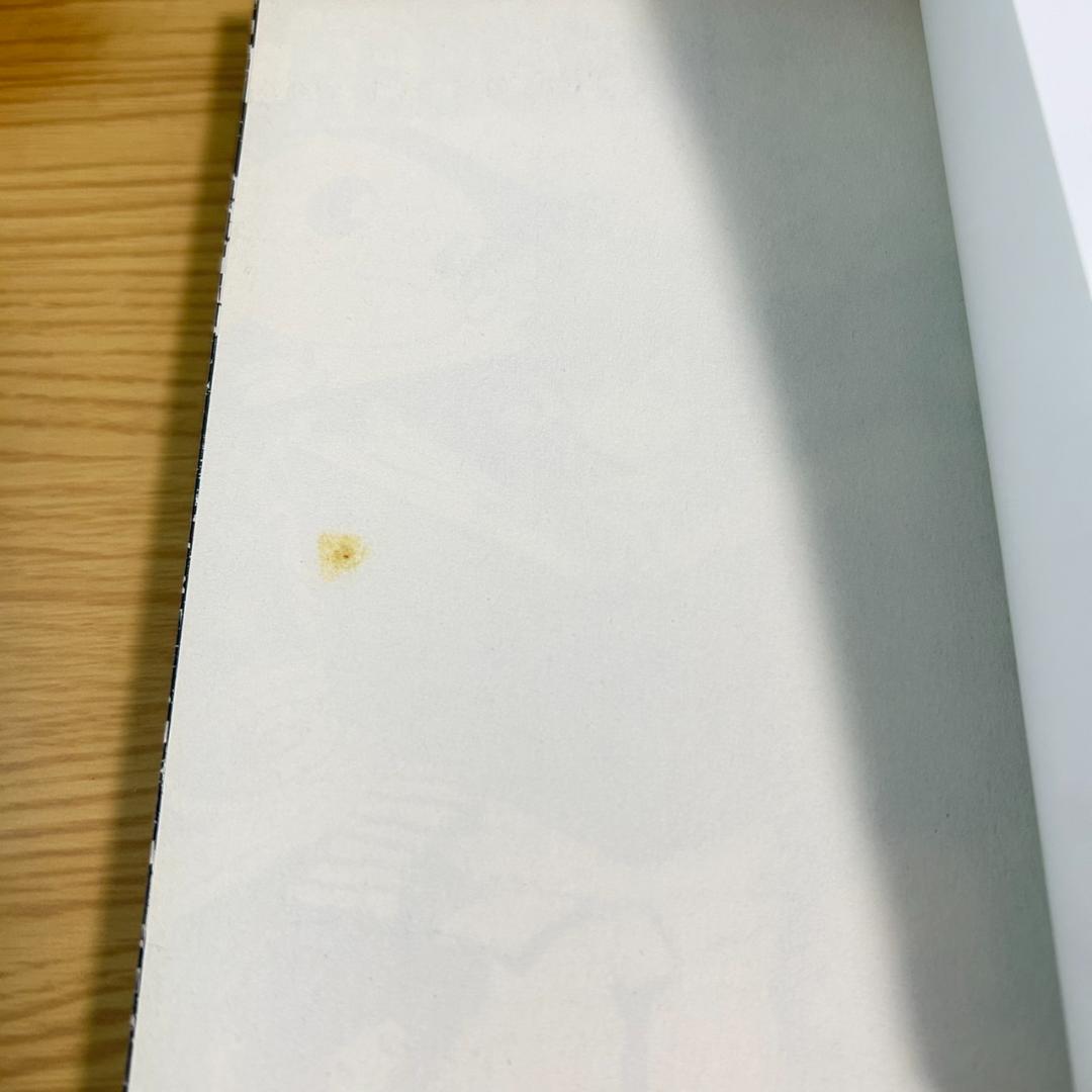 家庭教師ヒットマンリボーン！（REBORN）全巻セット＋関連本4冊