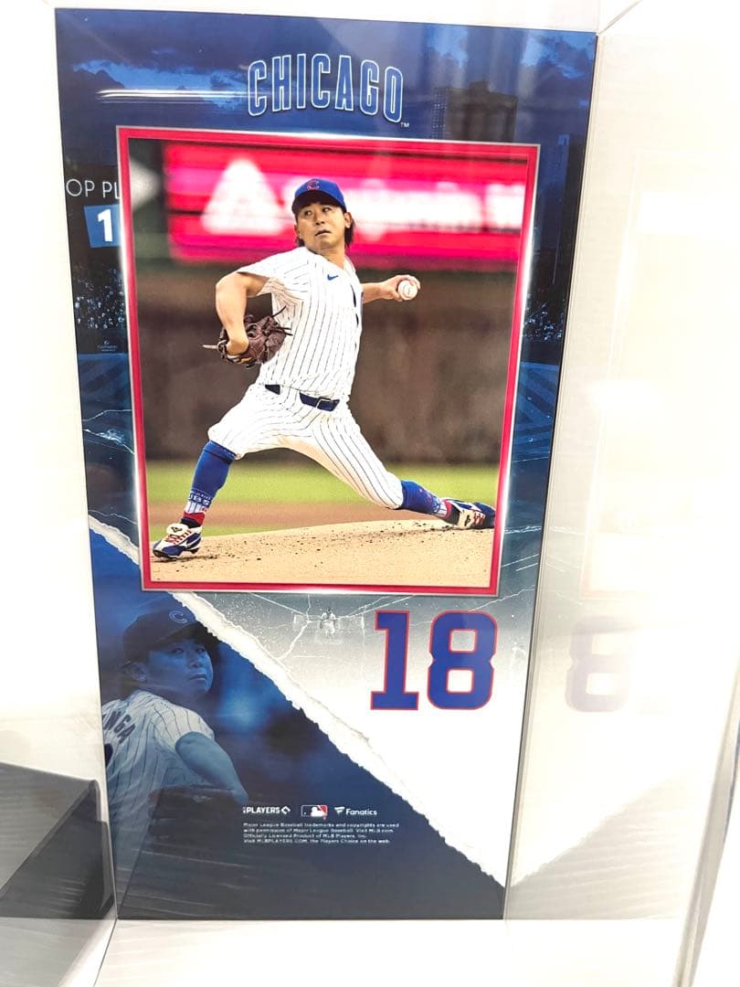 今永昇太　直筆サインボールインスク入り ファナティックス専用ケース付き