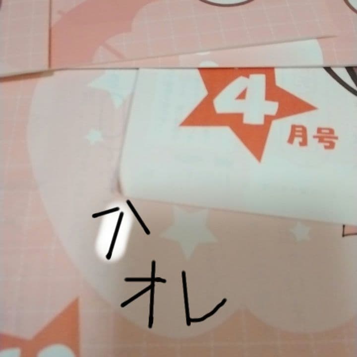 ブンブンどりむドキドキ基礎コース１年分　2024年4月から2025年3月まで